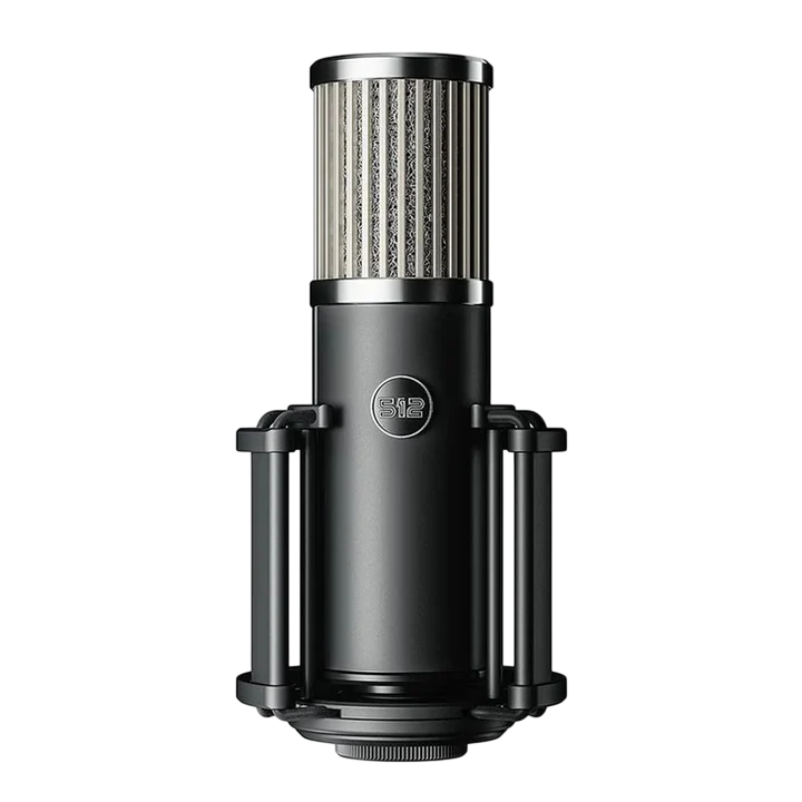 512 Audio Large-Diaphragm Condenser XLR Microphone Custom-tuned for Voice and Vocals