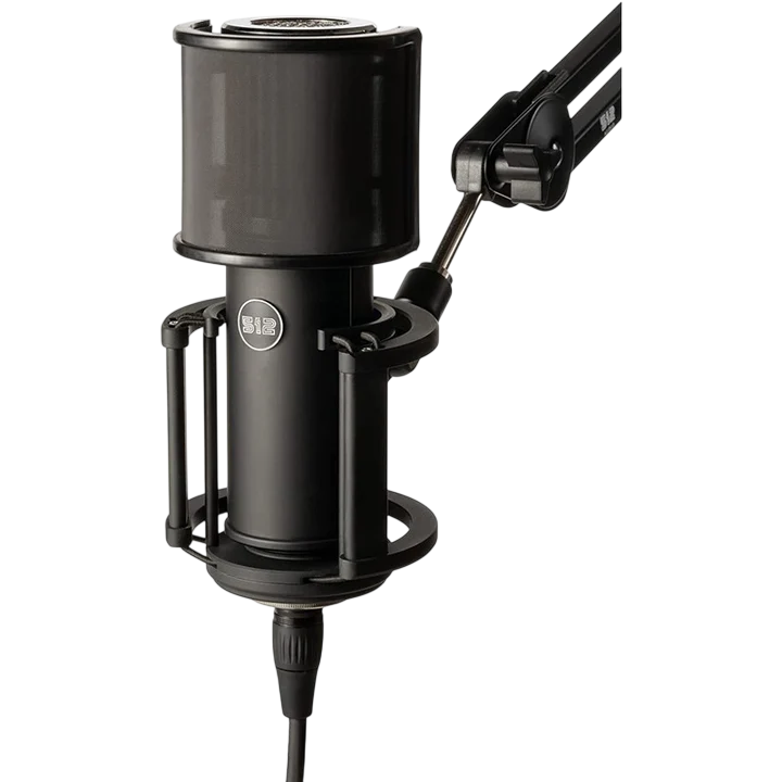 512 Audio Large-Diaphragm Condenser XLR Microphone Custom-tuned for Voice and Vocals